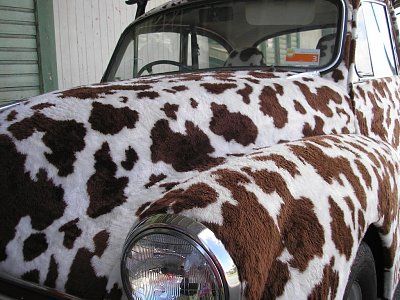 54-cow-cars-all-around-world-cow-car-44.jpg