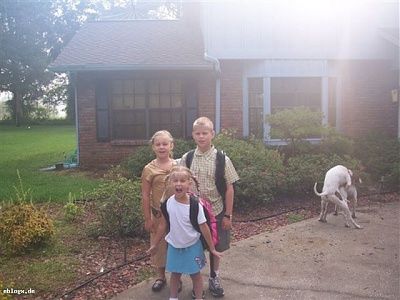 awkward-family-picture.jpg