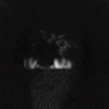 guttsfukk's Avatar