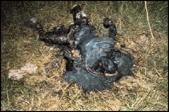necklacing2.jpg