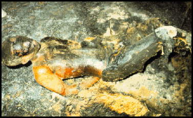 south-african-necklacing.jpg