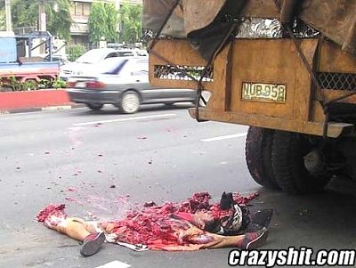 road-kill-3.jpg