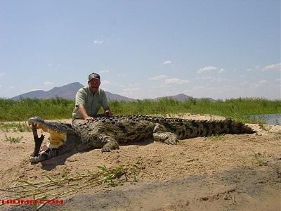 inside-crocodile-not-weak-hearted-people-.jpg