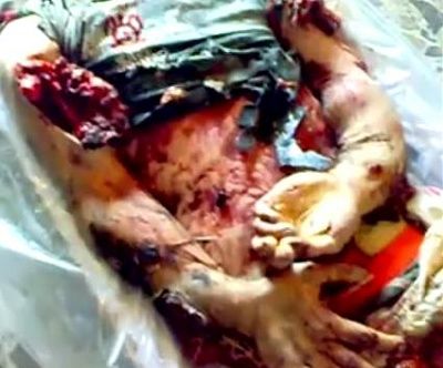 8503-gruesome.jpg