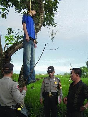 hng2.jpg