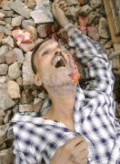 b48bf920349572.gif