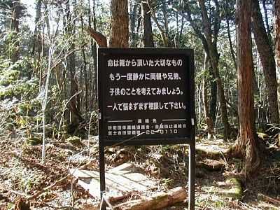 a1.jpg