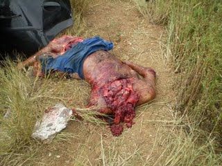 12715-very-graphic-car-accident-in-brazil-kills-two-ladies-and-a-malebig3.JPG