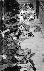 Dead_corpses_in_train_dachau.jpg