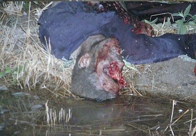 ogrish-dot-com-killed_insurgent_iraq1.jpg