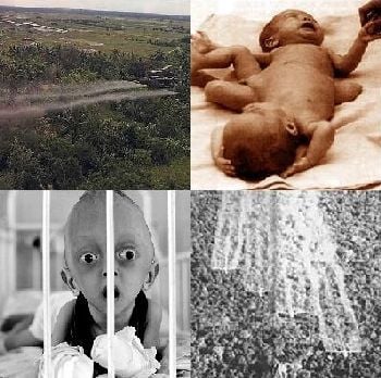 agent_orange__quad.jpg