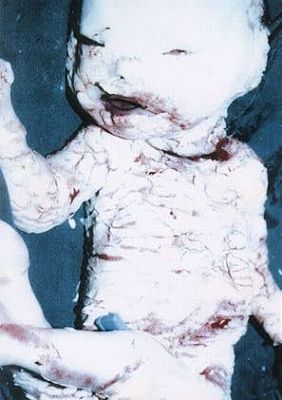 dbaby7.jpg.jpg