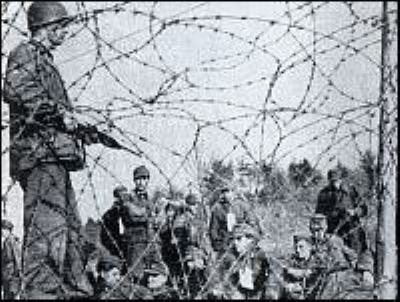 rheinwiesen5qq4.jpg