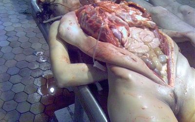 cadaver_my_space.jpg