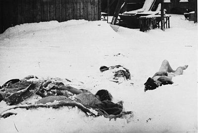auschwitzbodies.jpg