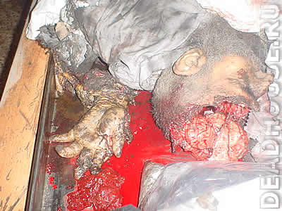 attached-file-4.jpg