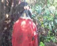 7297-teen-suicide-in-the-woods.jpg