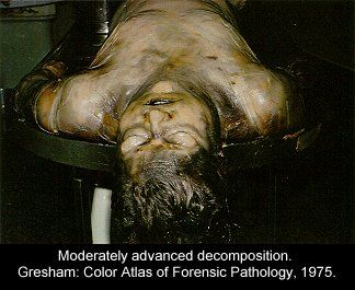 festered_morgue061.jpg
