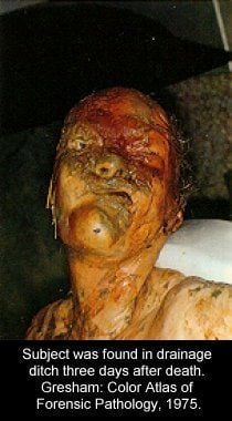 festered_morgue085.jpg