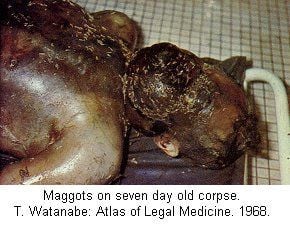 festered_morgue094.jpg