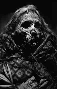 Witch_227x350.jpg