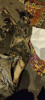gws85ohqy9aa1.jpg