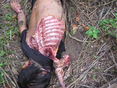 ribs.jpg