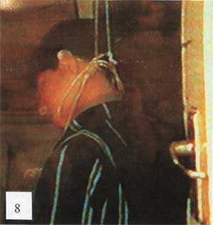 farm0018.jpg