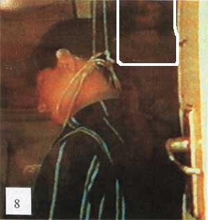 farm0018.jpg