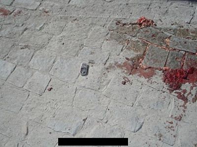 11682-oblivious-truck-drive-killed-by-his-own-load-while-talking-on-a-cell-phonebig2.jpg
