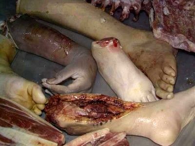 12713-female-canibal-kills-several-people-keeping-their-body-parts-housebig1.jpg