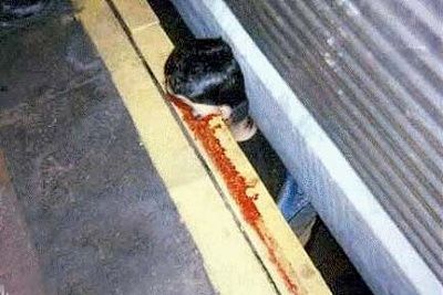 train.jpg