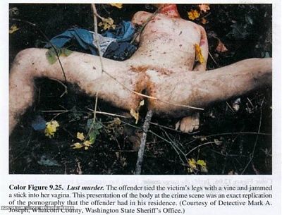 sex_related_murder.jpg