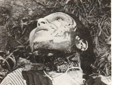 photo-10.jpg