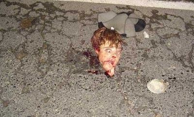 roadkill-1.jpg