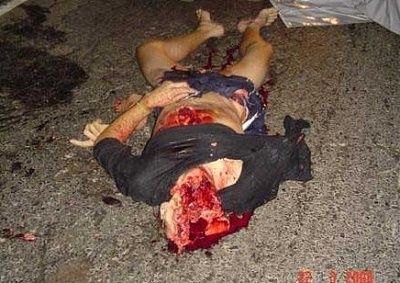 roadkill-2.jpg