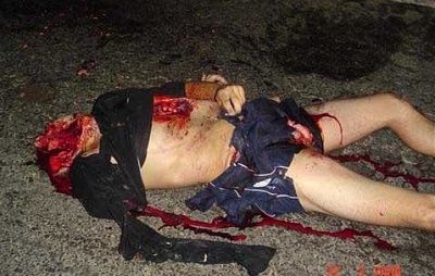 roadkill-3.jpg