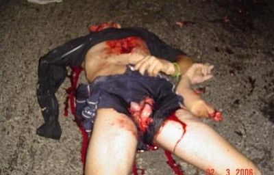 roadkill-4.jpg