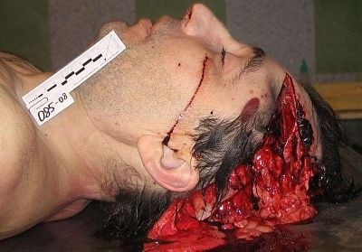 head1.jpg