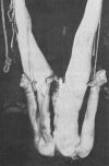 gein1_small.jpg