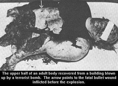 bomb2.jpg