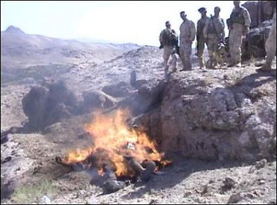 burning_taliban3_small.jpg
