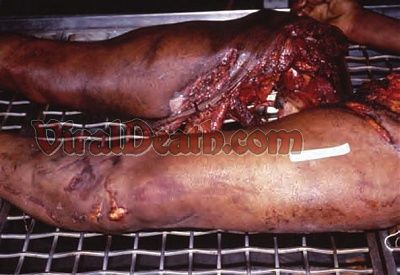 viraldeath_com_various_subway_fatalities1286.jpg