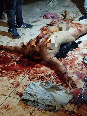 img2.jpg