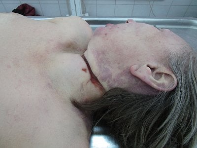 26.jpg