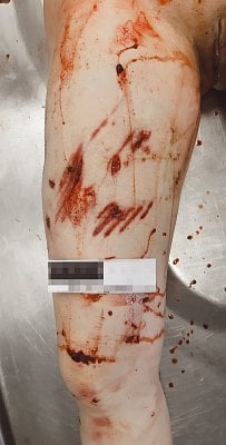 3396.jpg