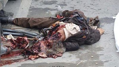 1252910956_human-road-kil0.jpg