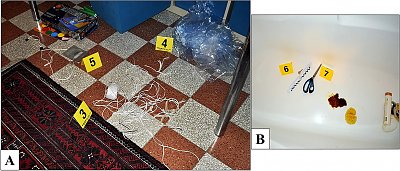 414_2021_2629_fig3_html.jpg