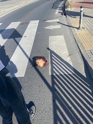 is1.jpg