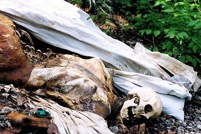 rotten-corpse.jpg